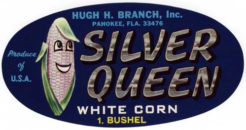 From the 1920s to the 1940s, companies bought up and consolidated small farms around the southern side of Lake Okeechobee. These large farms grew vegetables or sugar, and in time became profitable. Vegetable crate label. 1991-370-2