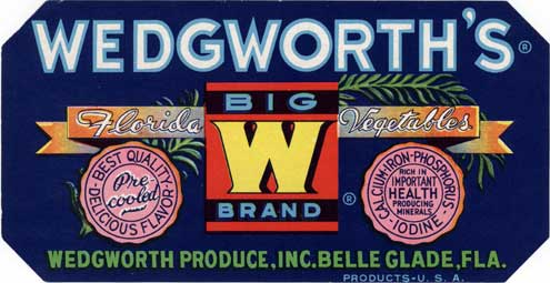 From the 1920s to the 1940s, companies bought up and consolidated small farms around the southern side of Lake Okeechobee. These large farms grew vegetables or sugar, and in time became profitable. Vegetable crate label. 1991-370-8