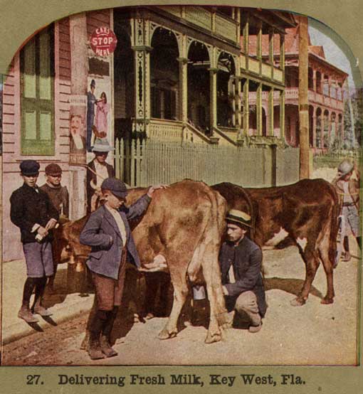 Delivering fresh milk, Key West, Fla. Circa 1900. Image number 1998-256-1