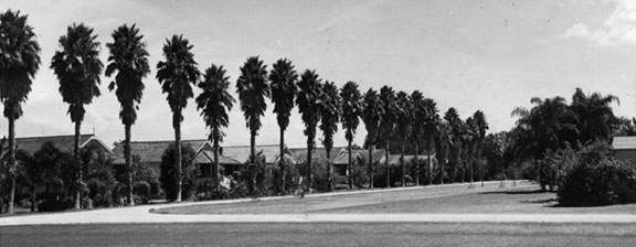 Until 1921 Belle Glade was called the Hillsborough Canal Settlement. Located on the southeast shore of Lake Okeechobee, some of the best farmland surrounded it.