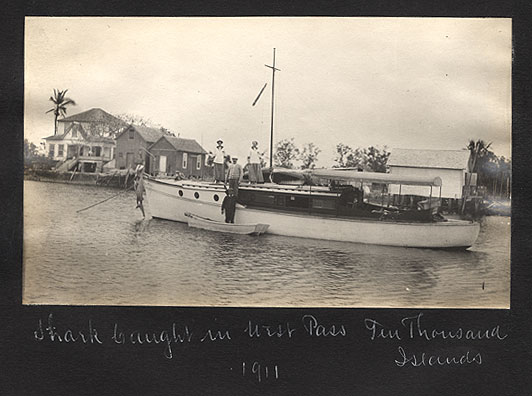 Squatters started settling Everglade (now Everglades City) in the 1860s and 1870s. In 1892, George Storter, Jr., started a store, which became a center of activity for the settlement. Everglades City was designated Collier County's first seat in 1923. Within a few years, a road onnected it to Tamiami Trail. This view: Everglades City, 1911. Left: Storter house, store and post office. Center: Cruise boat with shark hanging from bow. Right: shed for storing alligator hides and gasoline.