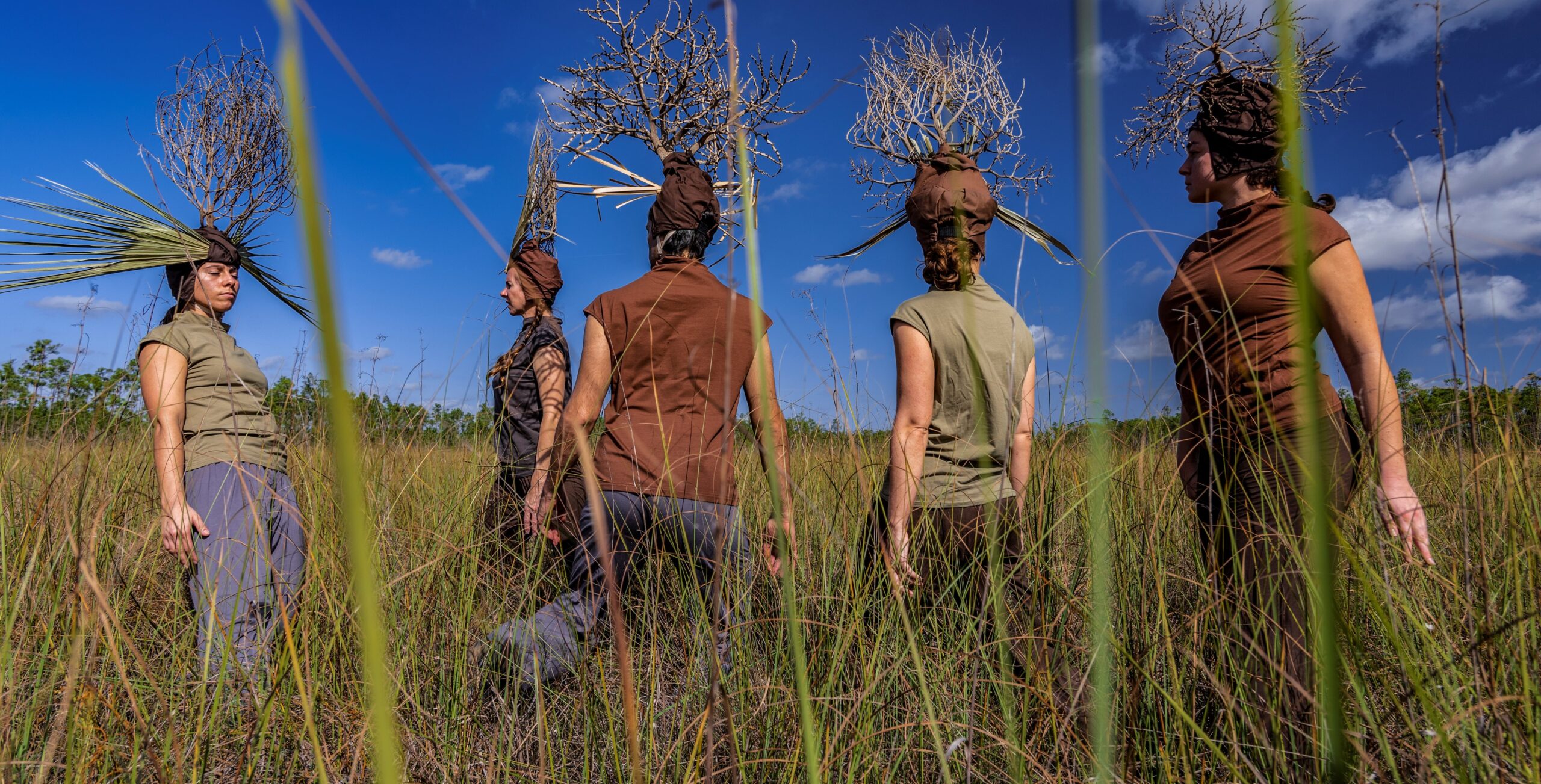 Everglades Imprint