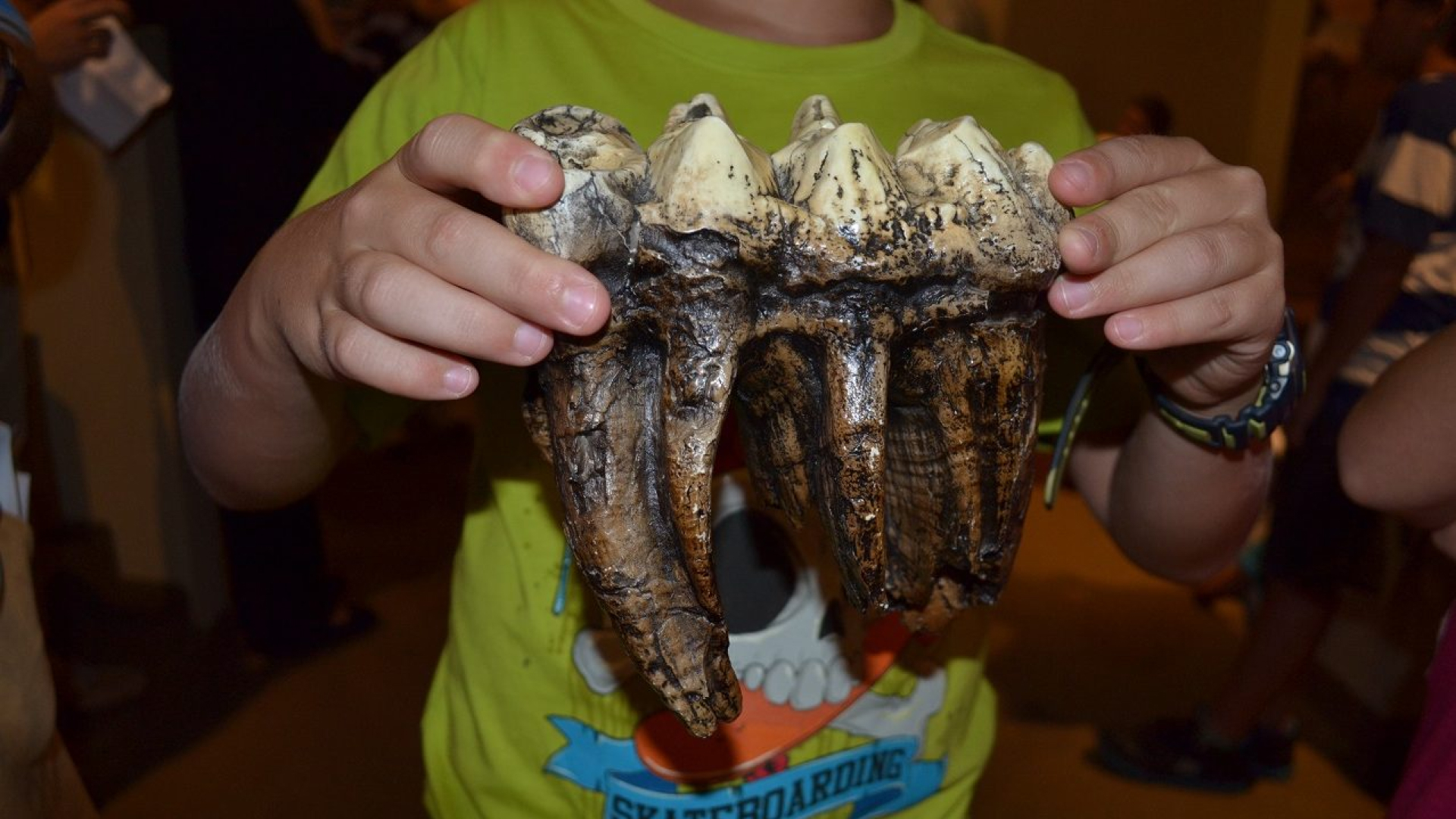 A child holds a replica of a mastodon tooth