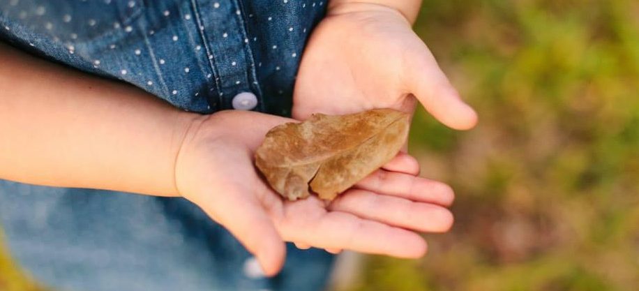 FREE Family Fun Day: Connecting with Nature