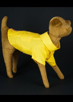Dog guayabera. Circa 2012. Cotton. Milou Couture. Apparently no fashion phenomenon can escape the business of clothing for pets. Capitalizing on the popularity of outfitting man’s best friend, Pennsylvania-based Milou Couture designs a variety of garments for dogs. Collection of Museum of Miami. Dog guayabera. Circa 2012. Cotton. Milou Couture. Apparently no fashion phenomenon can escape the business of clothing for pets. Capitalizing on the popularity of outfitting man’s best friend, Pennsylvania-based Milou Couture designs a variety of garments for dogs. Collection of Museum of Miami.